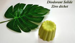 Deodorant Solide Zero Dechet Zinc Et Plantes Purifiantes En 2020 Zero Dechet Dechets Deodorant