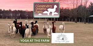 Yoga at Outstanding Dreams Alpaca Farm-August 1