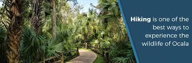 Cabins for sale in ocala national forest fl. Florida Tourism Series A Visitors Guide To Ocala National Forest