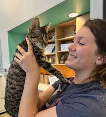 Stray animal issue is 'multifaceted' issue in Marshall, Harrison County