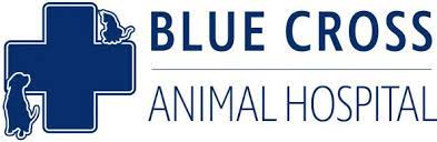 As always, we will prioritise urgent crisis cases and support owners of pets we have already committed to taking in. Blue Cross Animal Hospital In Hamilton On Blue Cross Animal Hospital Has Been Providing Care For Animals And Support For Their Families For Over 70 Years In Hamilton