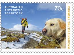 Set Of Stamps Dogs That Saved Macquarie Island Postal Stamps Stamp Cat Stamp