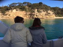 Book your tickets online for moonraker dolphin swims, sorrento: 1 5 Hour Wildlife Adventure Cruise Moonraker Dolphin Swims Reservations