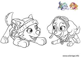 Coloriage Pat Patrouille Everest At Supercoloriage Paw Patrol Coloring Dog Coloring Book Paw Patrol Coloring Pages