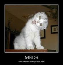 One thing you have to learn to do as a mom is laugh! 14 Because They Make Her Laugh Ideas Laugh Funny Pictures Funny