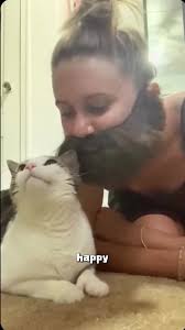 Cat in Love with Beard