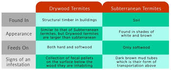 Another concern of yours is that you probably don't want to pay too much for service. Termite Treatment Cost In Singapore Pestbusters