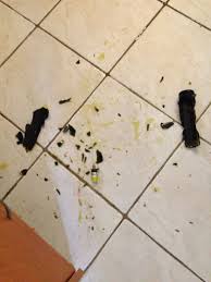 How to clean cooking oil off the floor. How To Clean Oil Off The Kitchen Floor Fast And Easy B C Guides