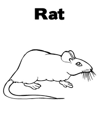 Learn About Mouse And Rat Coloring Pages Bulk Color Coloring Pages Coloring Pages For Kids Online Coloring