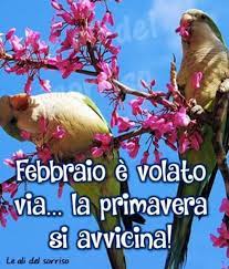 Non mi mancherai mese di febbraio. 8 Immagini E Frasi Di Arrivederci Febbraio Da Scaricare Gratis Buongiornospeciale It Buongiorno Immagini Febbraio