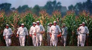 But the film is about more than baseball. Field Of Dreams Game Yankees White Sox Set To Play At Iowa Movie Site Syracuse Com