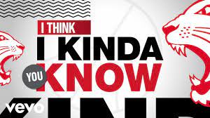 I Think I Kinda You Know Hsmtmts Official Lyric Video Disney Youtube