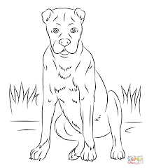 Boxer Dog Coloring Page Free Printable Coloring Pages Dog Coloring Page Coloring Pages Boxer Dogs