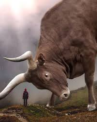 Giant Animals And Tiny Humans Breathtaking Surreal Photo Manipulations By Eben Mccrimmon Giant Animals Surreal Photos Surreal Photo Manipulation