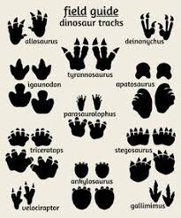 Dinosaur Tracks Poster Field Guide Series Dinosaur Tracks Dinosaur Nursery Dinosaur Bedroom
