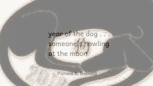 Barking Mad Haiku Youtube Haiku Poetry Haiku Dog Years