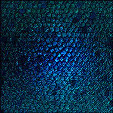 Check spelling or type a new query. Free 15 Scale Texture Designs In Psd Vector Eps