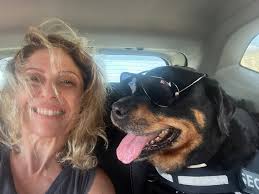 I lost my Nina to osteosarcoma 3 weeks ago. We tried our best to get her  good quality of life via amputation as recommended since the cancer hadn't  yet spread. They told