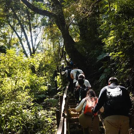 Subir al Cerro El Cucurucho es un desafío que solo los verdaderos  exploradores conocen. 🌋🇬🇹 Vivimos una jornada épica con nuestra  comunidad de Hike Society Guatemala, donde cada paso nos acercó más