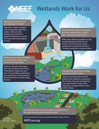 11.01.2019 · a healthy watershed means a healthier city. Lesson 1 Watershed Basics Neef