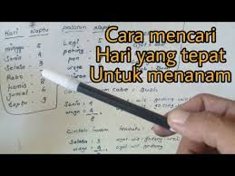 It has a circulating supply of 18 million dino coins and a total supply of 72.1 million. Cara Mencari Hari Yang Tepat Untuk Menanam Youtube