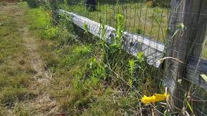 Buy the best and latest electric fences on banggood.com offer the quality electric fences on sale with worldwide free shipping. Weed Control For Electric Fences Gallagher Electric Fence Gallagher Electric Fencing From Valley Farm Supply