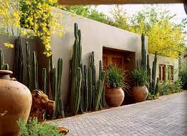 Cacti have numerous anatomical and behavioral adaptations for absorbing and storing water, preventing water loss, protecting themselves from predators, limiting damage from the hot sun, saving their energy, requiring few resources, and attracting pollinators. Southwest Style Cactus On Guard Sunset Magazine