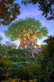 Animal Kingdom Tree Portrait Animal Kingdom Disney Disney World Pictures Disney World Vacation