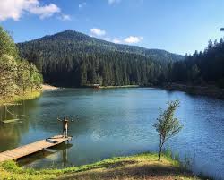 Sana Seslenmek Icin Cok Sikintili Yollardan Gectim Ac Kollarini Ozgurluk Bugun Omzuna Basimi Yaslamaya Geldim Ben Yalnizligin Key 2020 Goller Geziler Kamp