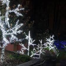 Cool christmas lights display by richard holdman set to a techno version of the song amazing grace. Wide Angle 5mm Led Lights 50 Cool White Outdoor Led Christmas Tree Lights Mini 5mm