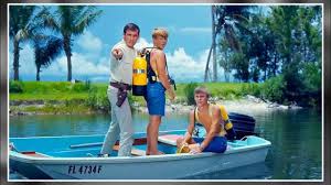 Have You Skipped Flipper TV Series? A Totally Messed Up Cinematic Symphony:  Avoiding the Noise