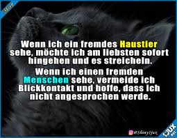 Weitere ideen zu lustige bilder, lustig, bilder. Lustige Spruche Tiere Vs Menschen Facebook