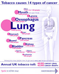 Pin On Useful Information