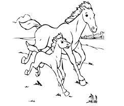 Free coloring pages to download and print. Baby Horse Coloring Pages Horse Baby Horse Running With His Mother In Horses Coloring Page Horse Coloring Horse Coloring Pages Horse Coloring Books