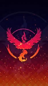 Moltres Pokemon Cute Pokemon Wallpaper Cool Pokemon Wallpapers