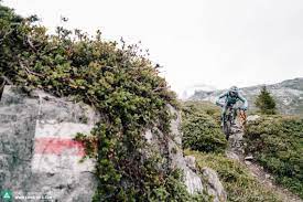 The mountain bike is a houseware item in animal crossing: E Mountainbike City Escape Zurich Powered By Haibike Range Rover E Mountainbike Magazine