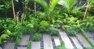 Kirsten Sach Landscape Design Ltd Landscape Designer Garden Consultation Planting Plans Rain Tropical Garden Design Rain Garden Design Garden Landscape Design
