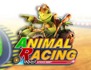 Animal Racing Demo ▷ Play Free Slot Game