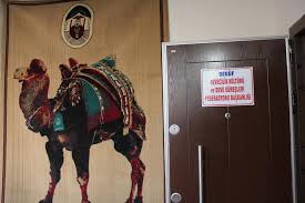 Kapadokya bölgesini ziyaret eden yerli ve yabancı turistlerin deve turlarına ilgisi her geçen gün artıyor. Second International Selcuk Ephesus Symposium On Culture Of Camel Dealing And Camel Wrestling Pdf Ucretsiz Indirin