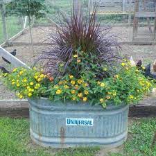 Pin By Pam Stumpe On Stumpe Backyard Nursery Large Backyard Landscaping Backyard Landscaping Lawn And Garden
