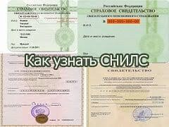 Kak Uznat Svoj Nomer Snils Onlajn Cherez Internet Ili Po Pasportnym Dannym