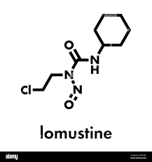 Image result for Lomustine