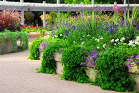 We did not find results for: The Practical Benefits Of Growing Vines