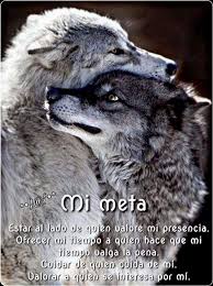 Metas Cumplidas Amor Valorado Frases De Lobos Frases De Vida Cortas Frases De Motivacion Diaria
