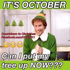 Nobody can argue with that! Byron Bay Christmas Trees It Is Too Early To Put Your Real Christmas Trees Up But It S Definitely Not Too Early To Order Especially As The Costs Are Still At 2017
