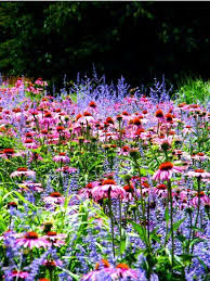 Pin On Garden Design