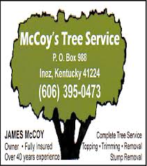 COMMONWEALTH OF KENTUCKY BEFORE THE PUBLIC SERVICE COMMISSION In the Matter  of: Electronic 2022 Integrated Resource Planning Rep