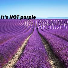 Priscilla Queen Of The Desert Quotes As Motivational Posters Desert Quote Motivational Posters Lavender Quotes