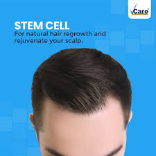 We did not find results for: Stem Cell For Hair Regrowth In 2021 Hair Care Brands Hair Care Hairfall Treatment