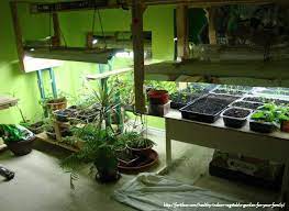 High performance led grow lights: How To Select The Best Grow Light For Indoor Growing Urban Organic Gardener